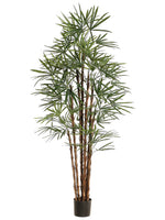 82.6" Honey Rhapis Palm Tree x10 in Plastic Pot Green (pack of 1)