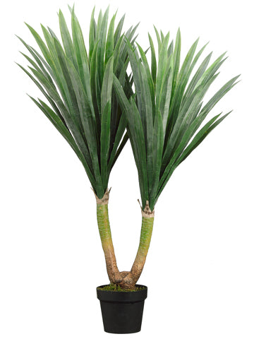 43" Tropical Yucca Plant in Pot Green (pack of 1)