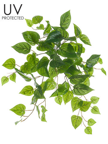 19" UV Protected Philodendron Bush Green (pack of 12)