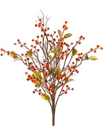 20" Bittersweet Bush  Orange (pack of 12)