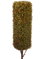 60" Boxwood Topiary Stem  Green Brown (pack of 1)