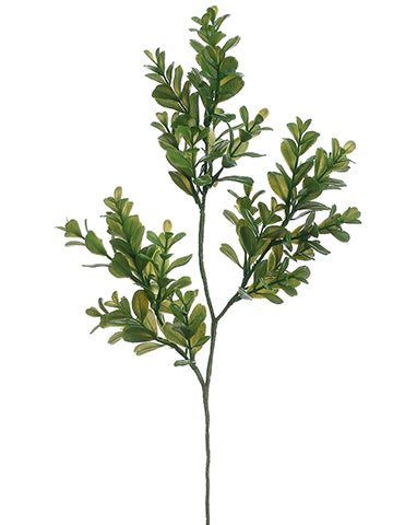 16" Boxwood Spray  Green (pack of 24)