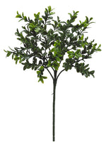 18.5" Boxwood Spray with 36 Cluster Leaves Green (pack of 24)