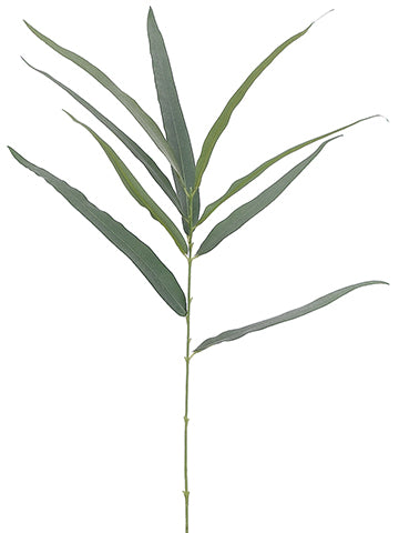 19" Eucalyptus Spray  Green Gray (pack of 12)