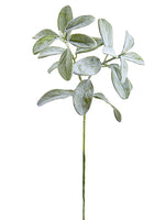 19" Lamb's Ear Spray  Green Gray (pack of 12)