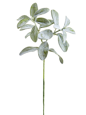 19" Lamb's Ear Spray  Green Gray (pack of 12)