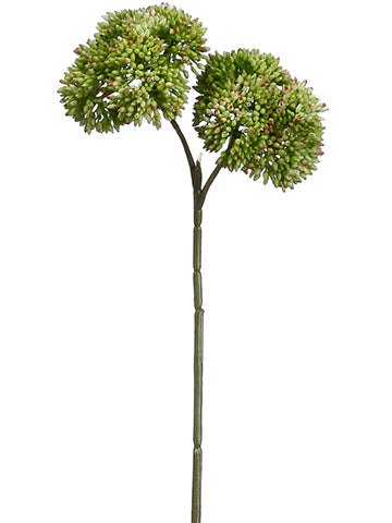 14.5" Sedum Stem x2  Green Pink (pack of 12)
