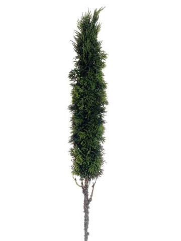 32" Slim Cedar Cone Topiary Stem Green (pack of 4)