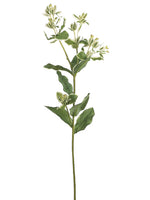 27" Euphorbia Spray  Green Variegated (pack of 12)