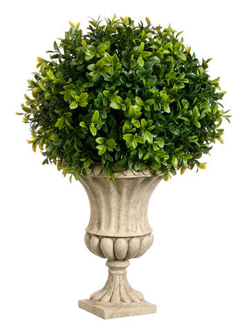 16"Hx10"Wx10"L Boxwood Ball in Resin Urn Green (pack of 2)