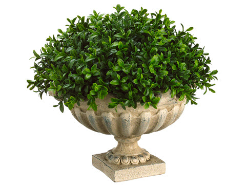 12"Hx14"Wx14"L Boxwood Dome in Resin Urn Green (pack of 1)
