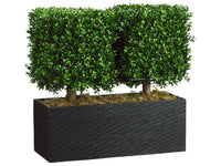 24"Hx12"Wx26"L Boxwood Topiary in Rectangular Bamboo Container Green (pack of 1)