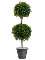 4.5' Boxwood Topiary in Fiber Cement Container Green (pack of 1)