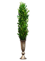 33"Hx4"Wx4"L Preserved Boxwood in Metal Vase Green (pack of 1)