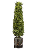 26"Hx5"Wx5"L Cedar Cone Topiary in Glass Cylinder Vase Green (pack of 1)