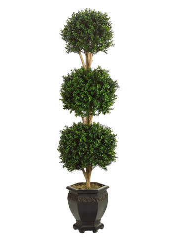 5' Triple Ball Boxwood Topiary in Pot Green (pack of 1)