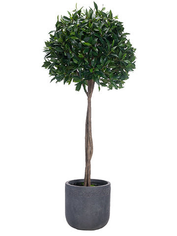 70"Hx28"Wx28"L Bay Leaf Topiary in Fiber Clay Planter Green (pack of 1)