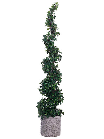 66" Citrus Leaf Spiral Topiary in Terra Cotta Planter Green (pack of 1)