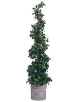 51"Hx11"Wx11"L Citrus Leaf Spiral Topiary In Terra Cotta Planter Green (pack of 1)