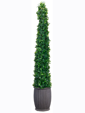 68" Laurel Leaf Cone Topiary in Fiber Cement Planter Green (pack of 1)