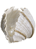 4.25"Hx6.25"L Pearl Clam Shell Pearl (pack of 6)