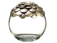 6"Hx6"D Glass Jar w/Lid  Clear Silver (pack of 1)