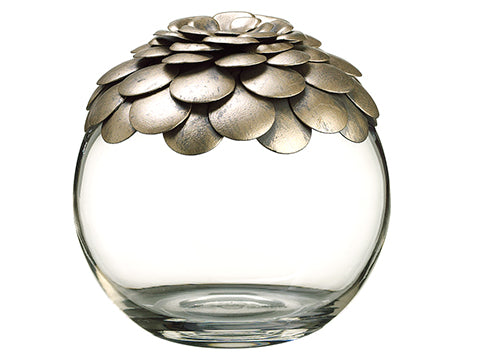 6"Hx6"D Glass Jar w/Lid  Clear Silver (pack of 1)