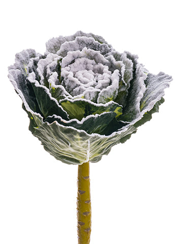 13" Snowed Cabbage Spray  Green Snow (pack of 6)