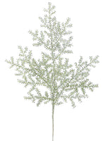 25" Glittered Common Juniper Spray Green Silver (pack of 36)