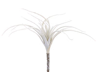 9" Glittered Tillandsia Pick  White Glittered (pack of 12)