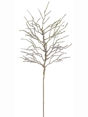 31" Glittered Coral Branch  Silver Green (pack of 12)
