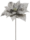 Antique Silver