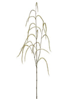 47" Amaranthus Spray  Light Brown (pack of 12)