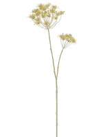 38" Cow Parsnip Spray  Beige (pack of 6)