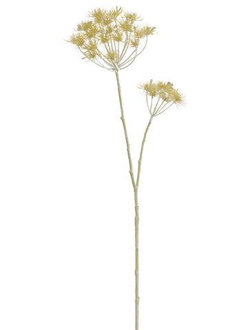 38" Cow Parsnip Spray  Beige (pack of 6)