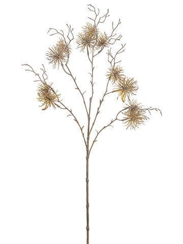 28" Glittered Witch Hazel Spray Light Brown (pack of 12)