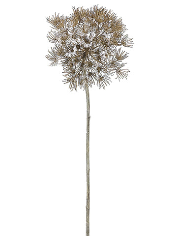 32" Iced Cow Parsnip Spray  Brown Ice (pack of 12)