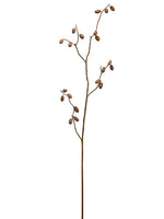 68" Dried Pod Spray  Light Brown (pack of 2)