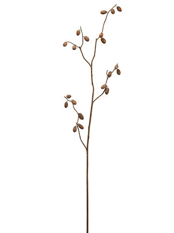 68" Dried Pod Spray  Light Brown (pack of 2)