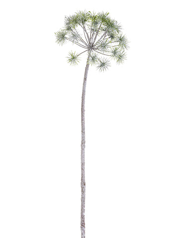 27" Iced Dandelion Spray  Iced Green (pack of 24)