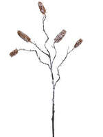 38" Iced Dipsacus Spray  Brown Iced (pack of 12)