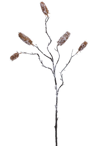 38" Iced Dipsacus Spray  Brown Iced (pack of 12)