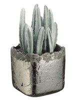 9.5" Peruvian Cactus in Ceramic Vase Gray (pack of 2)