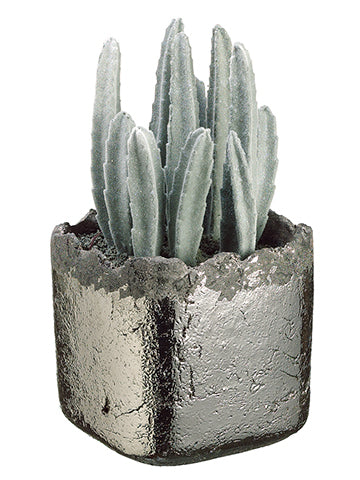 9.5" Peruvian Cactus in Ceramic Vase Gray (pack of 2)