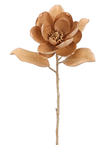 29" Magnolia Spray  Tan (pack of 12)