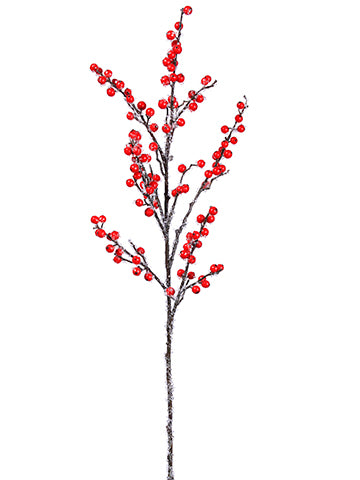 36" Iced Naked Berry Spray  Red Iced (pack of 12)