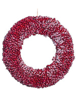 20" Snowed Berry Wreath  Red (pack of 1)