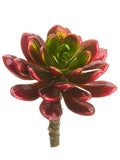 Red Green