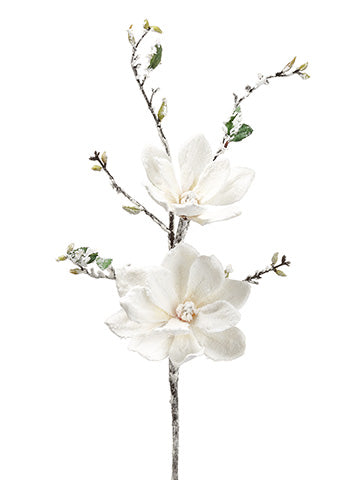 36" Snowed Magnolia Spray  White Snow (pack of 6)