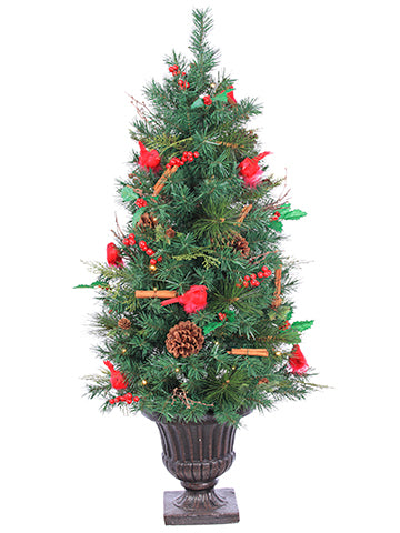 4' Battery Operated Pine Cardinal/Holly/Cinnamon Tree with 35 LED Lights(Re-Shipper) (pack of 1)